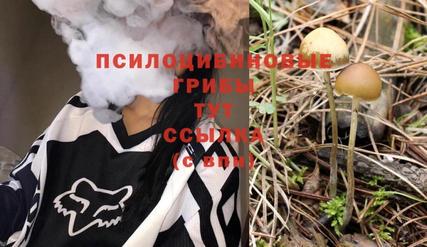 прущая мука Волоколамск