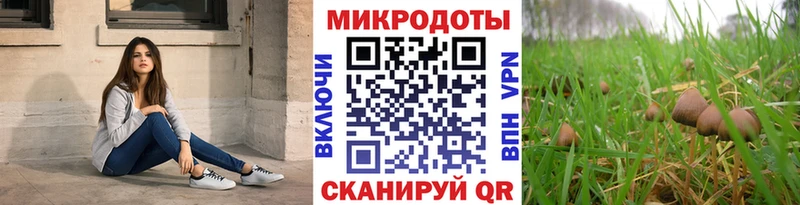 shop Telegram  Поворино  Галлюциногенные грибы прущие грибы  наркотики 